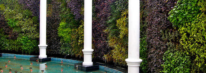 Vertical Garden/ Green Wall